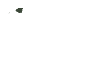 The Hawaiian island chain